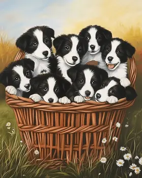 Border Collies in a Basket - Dog and Pets Wall Art Prints