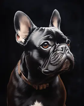 Black Noble French Bulldog Dog Portrait Wall Art Prints – 8″x10″ Artwork for 11″x14″ Frame