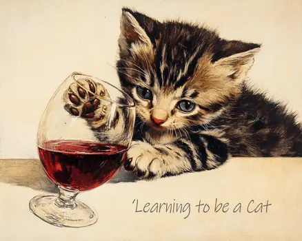 Learning to be a Cat - Wine Wall Art Prints – 8″x10″ Artwork for 11″x14″ Frame