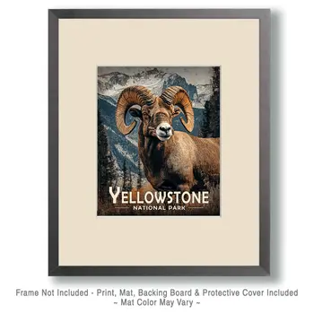 Bighorn Ram - Yellowstone Souvenir Art Prints - 8"x10" Artwork for 11"x14" Frame