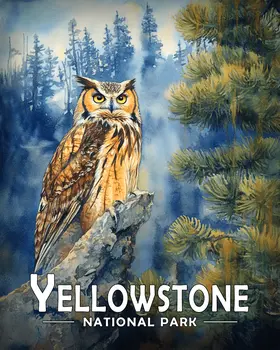 Great Horned Owl on Branch - Yellowstone Souvenir Art Prints - 8"x10" Artwork for 11"x14" Frame