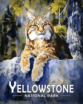 Resting Bobcat - Yellowstone Souvenir Art Prints - 8"x10" Artwork for 11"x14" Frame