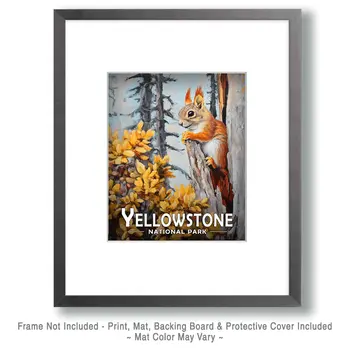 Alert Red Squirrel  - Yellowstone Souvenir Art Prints - 8"x10" Artwork for 11"x14" Frame