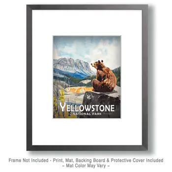 Sitting Bear - Yellowstone Souvenir Art Prints - 8"x10" Artwork for 11"x14" Frame