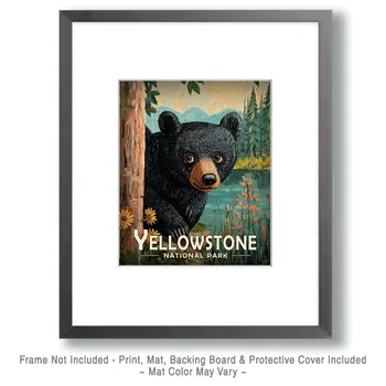 Peek-a-Boo Bear - Yellowstone Souvenir Art Prints - 8"x10" Artwork for 11"x14" Frame
