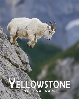 Mountain Goat Jumping - Yellowstone Souvenir Art Prints - 8"x10" Artwork for 11"x14" Frame