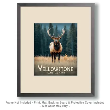 Bull Elk - Yellowstone Souvenir Art Prints - 8"x10" Artwork for 11"x14" Frame