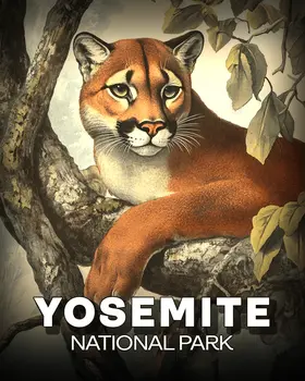 Vintage Cougar - Yosemite Souvenir Art Prints - 8"x10" Artwork for 11"x14" Frame