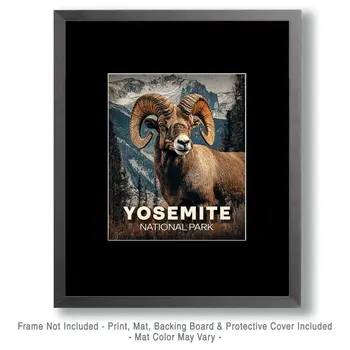 Bighorn Ram - Yosemite Souvenir Art Prints - 8"x10" Artwork for 11"x14" Frame
