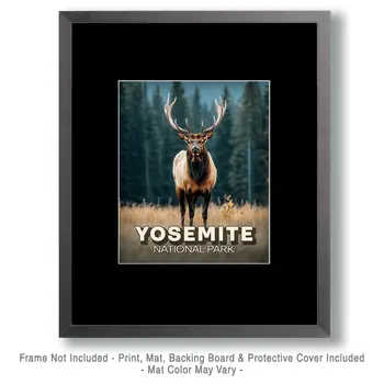 Bull Elk - Yosemite Souvenir Art Prints - 8"x10" Artwork for 11"x14" Frame