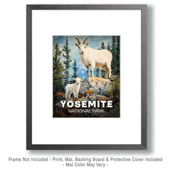 Mountain Goat Mother & Baby - Yosemite Souvenir Art Prints - 8"x10" Artwork for 11"x14" Frame