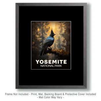 Steller's Jay - Yosemite Souvenir Art Prints - 8"x10" Artwork for 11"x14" Frame
