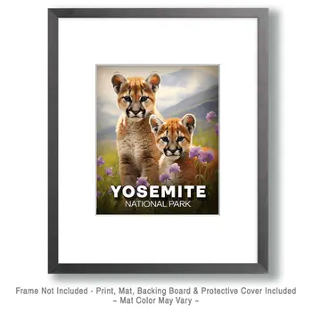 Mountain Lion Cubs - Yosemite Souvenir Art Prints - 8"x10" Artwork for 11"x14" Frame