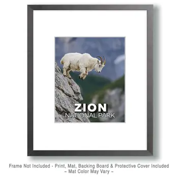 Jumping Mountain Goat - Zion Souvenir Art Prints - 8"x10" Artwork for 11"x14" Frame