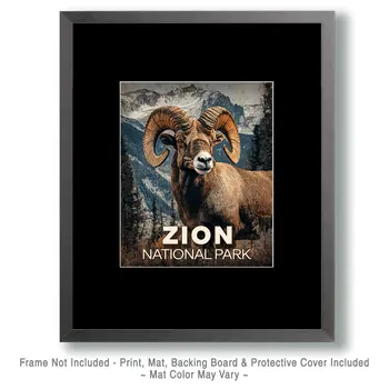 Bighorn Ram - Zion Souvenir Art Prints - 8"x10" Artwork for 11"x14" Frame