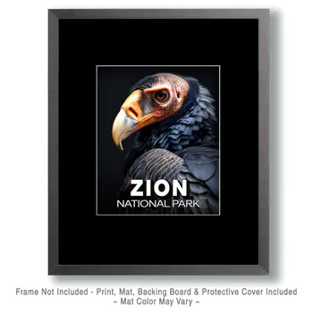 Vulture Portrait - Zion Souvenir Art Prints - 8"x10" Artwork for 11"x14" Frame