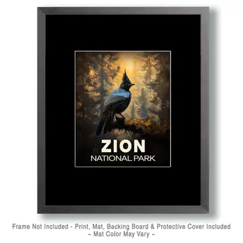 Steller's Jay - Zion Souvenir Art Prints - 8"x10" Artwork for 11"x14" Frame