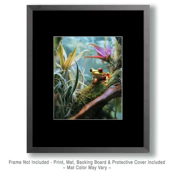 Air Plant Bromeliads with Tree Frog - Bromeliad Air Plant Art Prints - 8"x10" Artwork for 11"x14" Frame