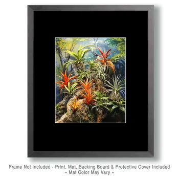 Air Plant Bromeliads with a Monkey - Bromeliad Air Plant Art Prints - 8"x10" Artwork for 11"x14" Frame