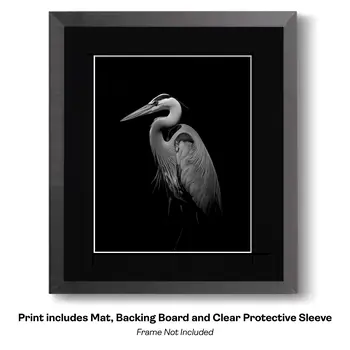 Art Nouveau Great Blue Heron 2 – 8″x10″ Artwork for 11″x14″ Frame