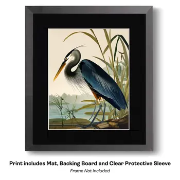 Art Nouveau Great Blue Heron 2 – 8″x10″ Artwork for 11″x14″ Frame