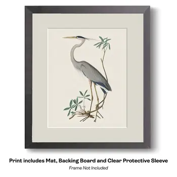 Art Nouveau Great Blue Heron 2 – 8″x10″ Artwork for 11″x14″ Frame