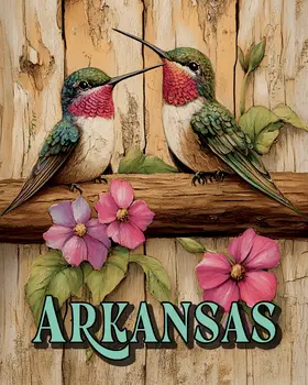 Two Hummingbirds - Arkansas Art Prints – 8″x10″ Artwork for 11″x14″ Frame