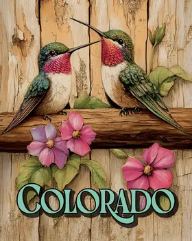 Two Hummingbirds - Colorado Art Prints – 8″x10″ Artwork for 11″x14″ Frame
