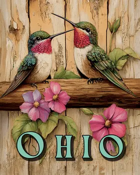 Two Hummingbirds - Ohio Art Prints – 8″x10″ Artwork for 11″x14″ Frame