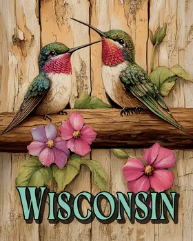 Two Hummingbirds - Wisconsin Art Prints – 8″x10″ Artwork for 11″x14″ Frame