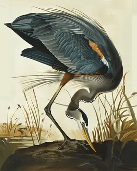 Classic Illustration Great Blue Heron – 8″x10″ Artwork for 11″x14″ Frame