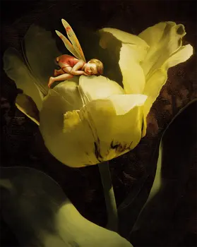 Fairy Having a Nap on a Yellow Tulip - 8"x10" Art Prints