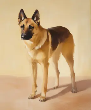 German Shepherd Majestic Portrait - Pet Dog Still Life Wall Art Prints – 8″x10″ Artwork for 11″x14″ Frame