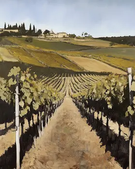 Italian Vineyard - Wine Wall Art Prints – 8″x10″ Artwork for 11″x14″ Frame