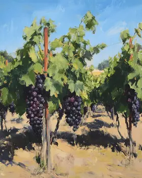 Wine and Glasses Tabletop In Vineyard - Wine Wall Art Prints – 8″x10″ Artwork for 11″x14″ Frame