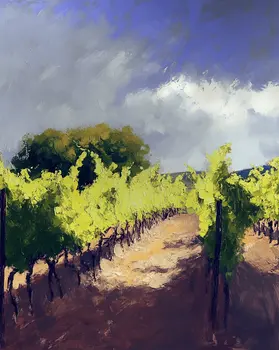 Storm Approaching Vineyard - Wine Wall Art Prints – 8″x10″ Artwork for 11″x14″ Frame