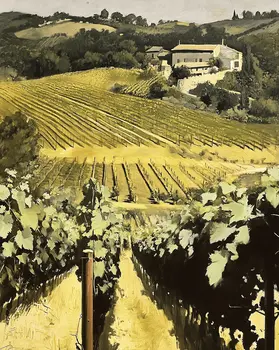 View From Vineyard - Wine Wall Art Prints – 8″x10″ Artwork for 11″x14″ Frame