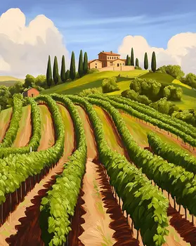Vineyard View - Wine Wall Art Prints – 8″x10″ Artwork for 11″x14″ Frame