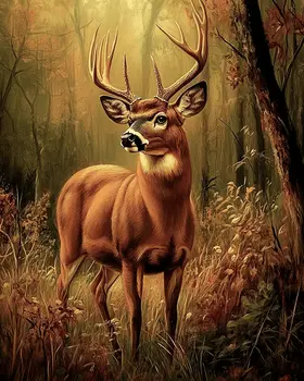 Pensive Buck Deer - Wildlife Art Prints – 8″x10″ Artwork for 11″x14″ Frame