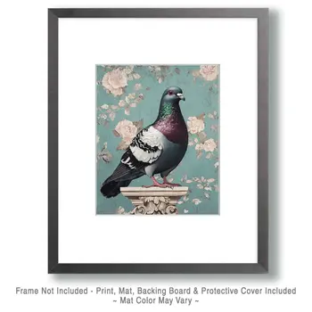 Pigeon Still-Life - Wildlife Art Prints – 8″x10″ Artwork for 11″x14″ Frame