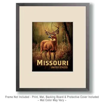 Woodland Buck - Missouri Deer Art Prints – 8″x10″ Artwork for 11″x14″ Frame