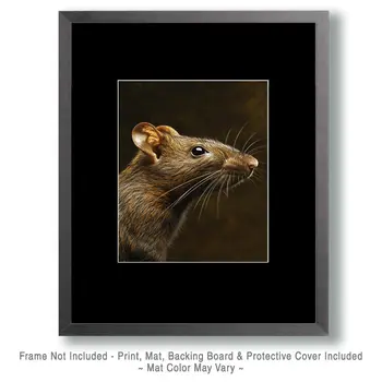 Rat Portrait - Wildlife Art Prints – 8″x10″ Artwork for 11″x14″ Frame