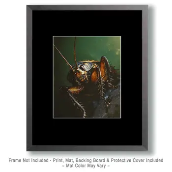 Cockroach Up-Close - Wildlife Art Prints – 8″x10″ Artwork for 11″x14″ Frame