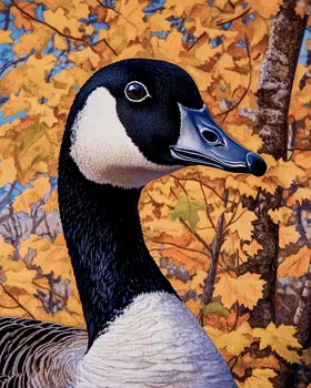 Canada Goose in Fall - Wildlife Art Prints – 8″x10″ Artwork for 11″x14″ Frame