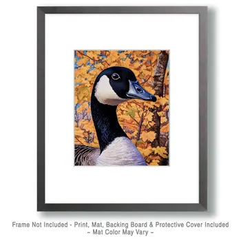 Canada Goose in Fall - Wildlife Art Prints – 8″x10″ Artwork for 11″x14″ Frame