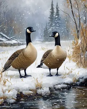 Classic Canadian Geese Pair - Wildlife Art Prints – 8″x10″ Artwork for 11″x14″ Frame