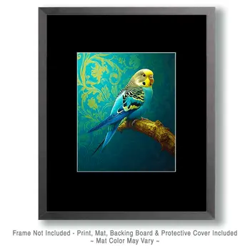 Stylized Budgie Parakeet #1 - Pet Modern Art Prints – 8″x10″ Artwork for 11″x14″ Frame