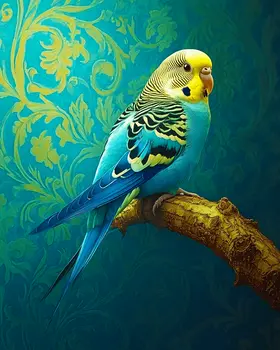 Stylized Budgie Parakeet #1 - Pet Modern Art Prints – 8″x10″ Artwork for 11″x14″ Frame