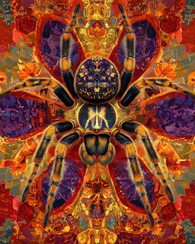 Stylized Tarantula #2 - Pet Modern Art Prints – 8″x10″ Artwork for 11″x14″ Frame