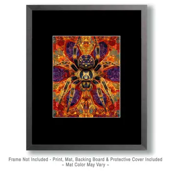 Stylized Tarantula #2 - Pet Modern Art Prints – 8″x10″ Artwork for 11″x14″ Frame